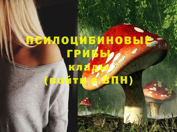 спиды Лабытнанги